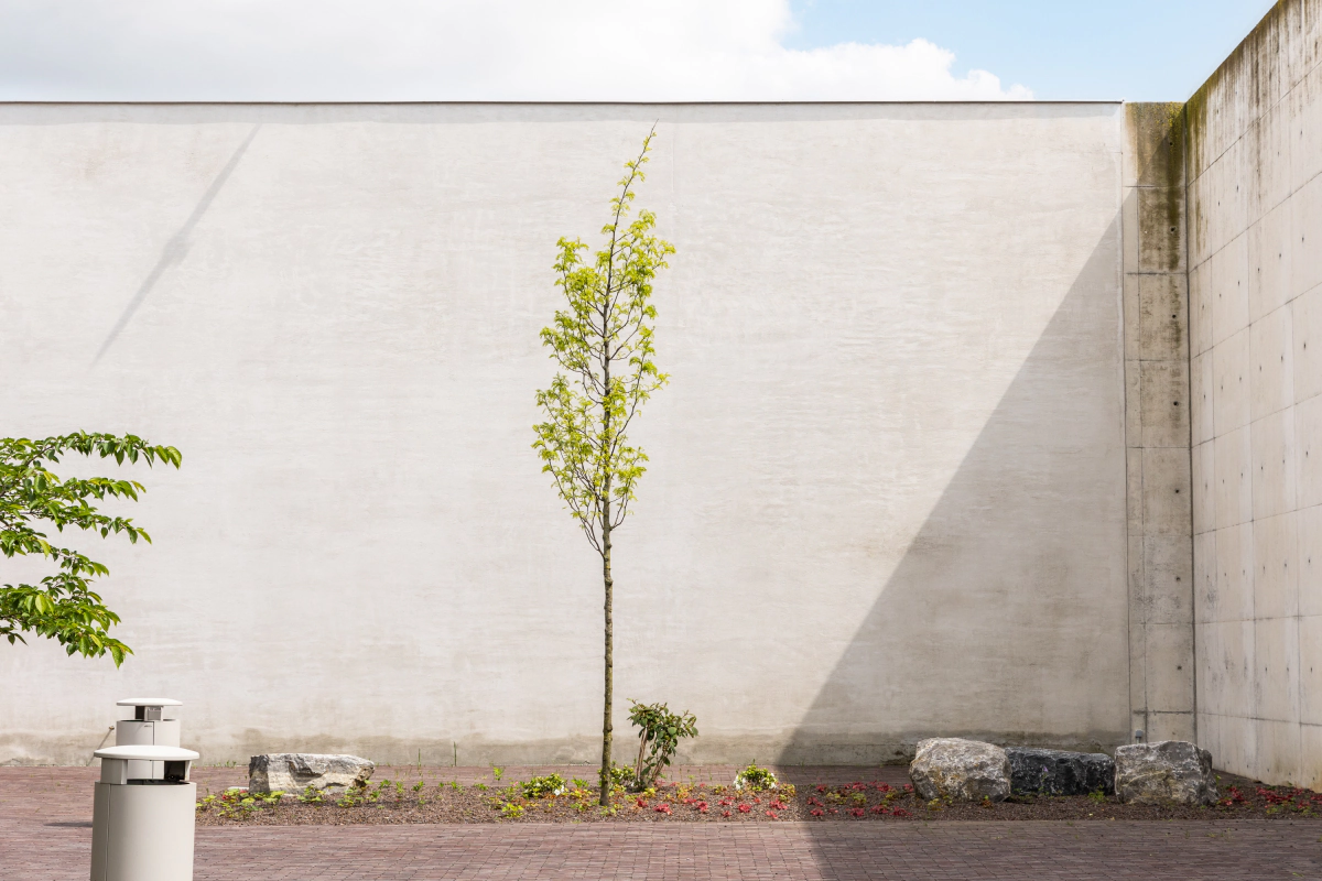 Portfolio Westlede 2
